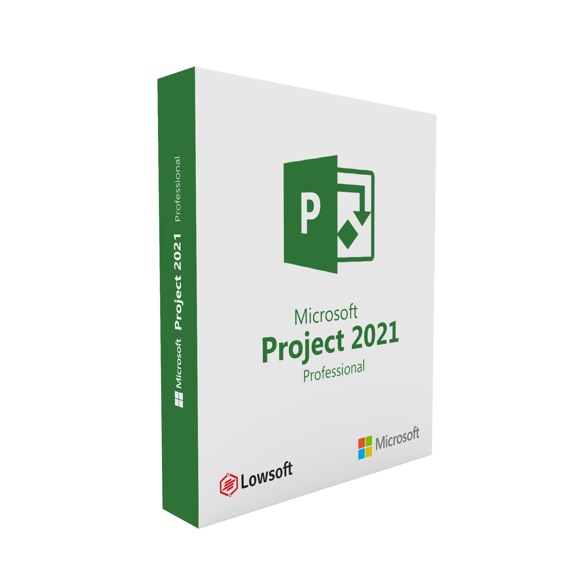 Microsoft Project Professional 2021 LTSC